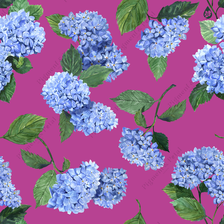 HYDRANGEA PRINT