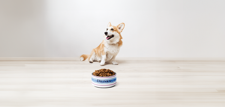 PET BOWLS