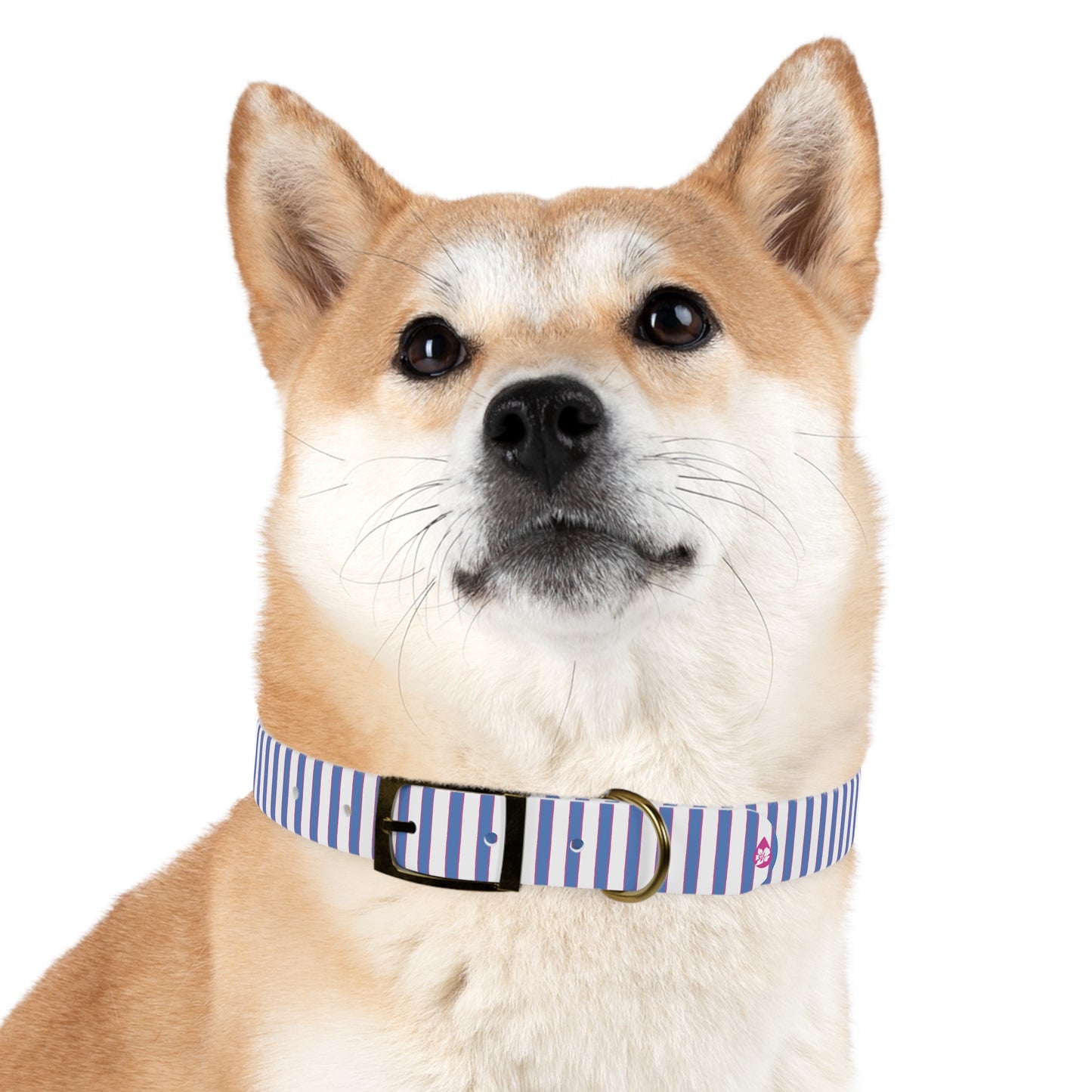 Prep Stripe Dog Collar