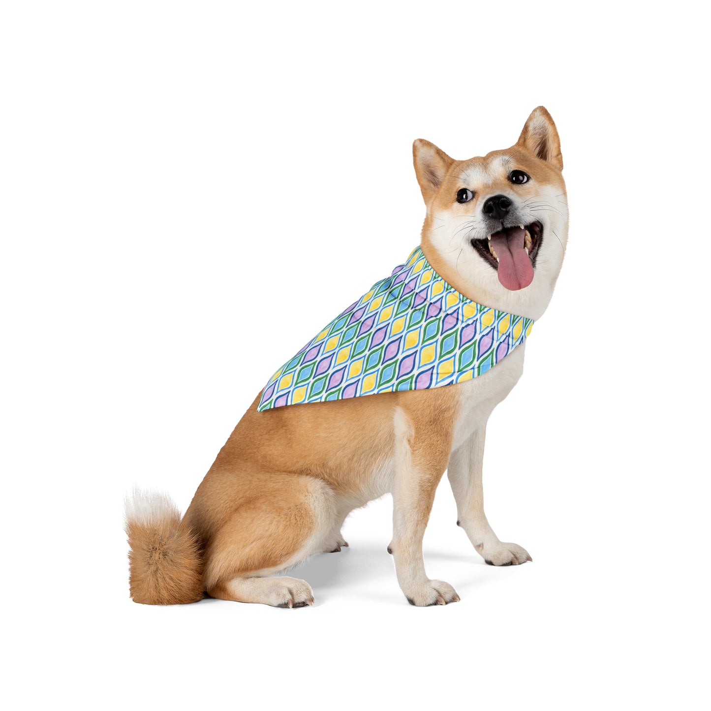 Painted Geo Pet Bandana