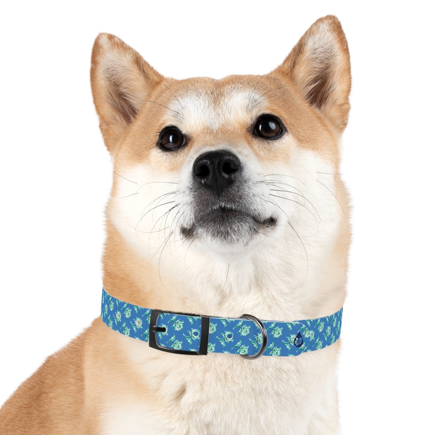 Watercolor Woodblock Dog Collar