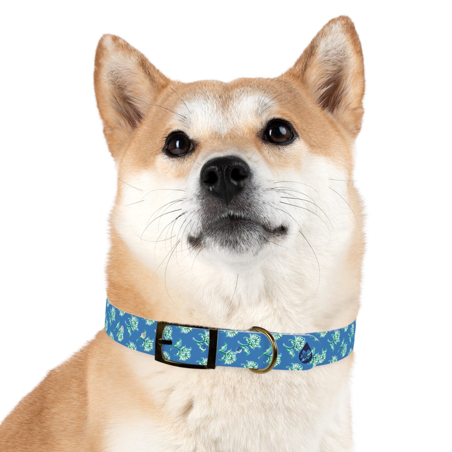Watercolor Woodblock Dog Collar