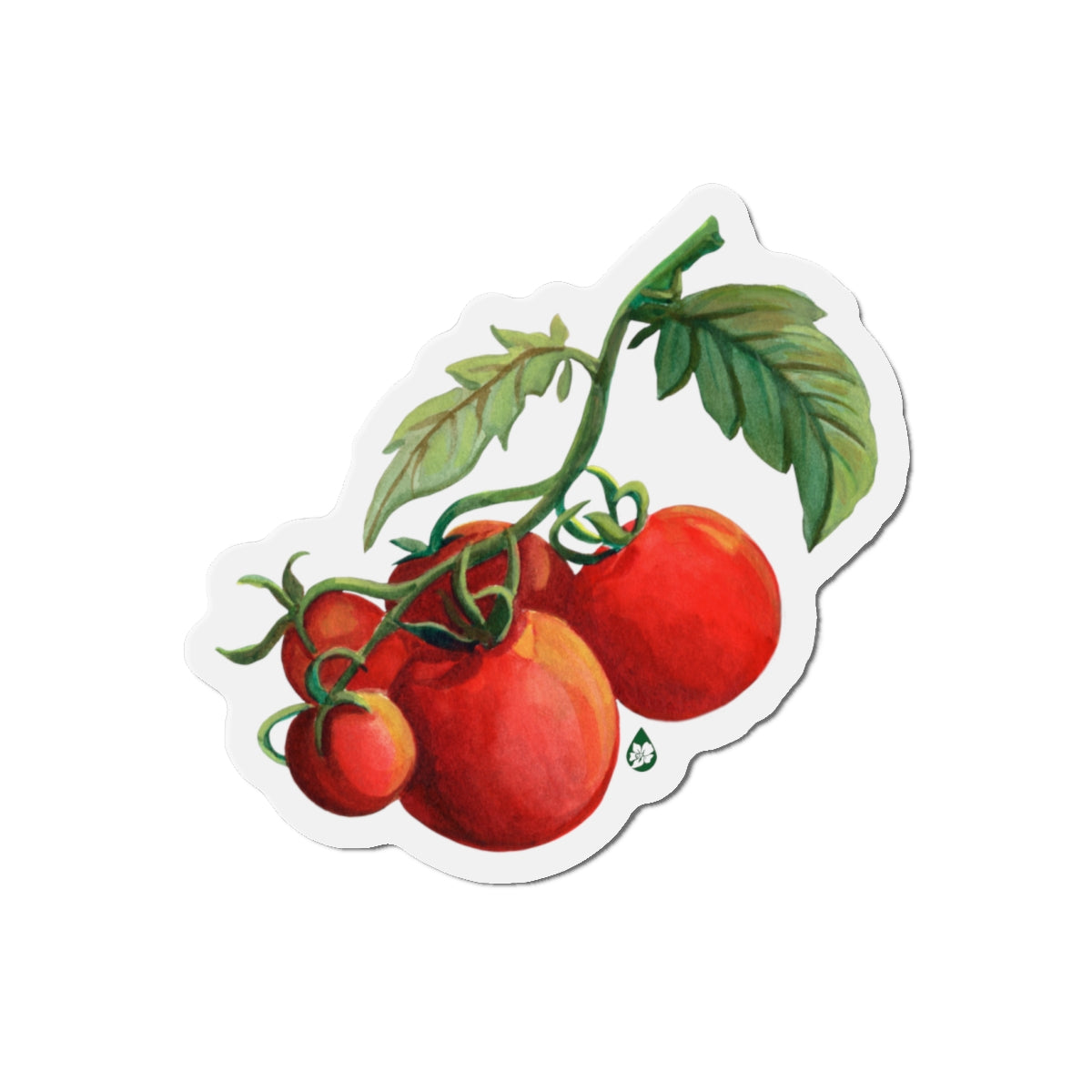 Tomato Tomato Magnet