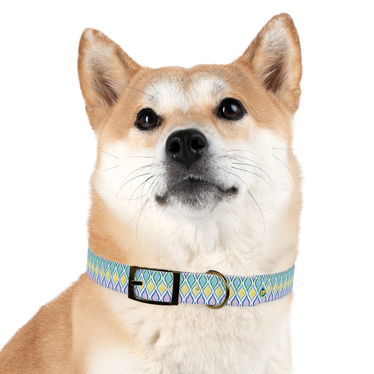 Shiba Inu Pup wearing Painterly Geo Collar in Cool colors