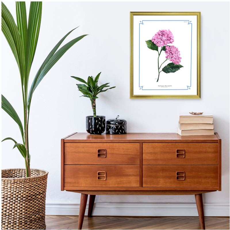 Botanical Hydrangea Study 02 Pink 16x20 in Gold Frame over 4 drawer cabinet with books and houseplant