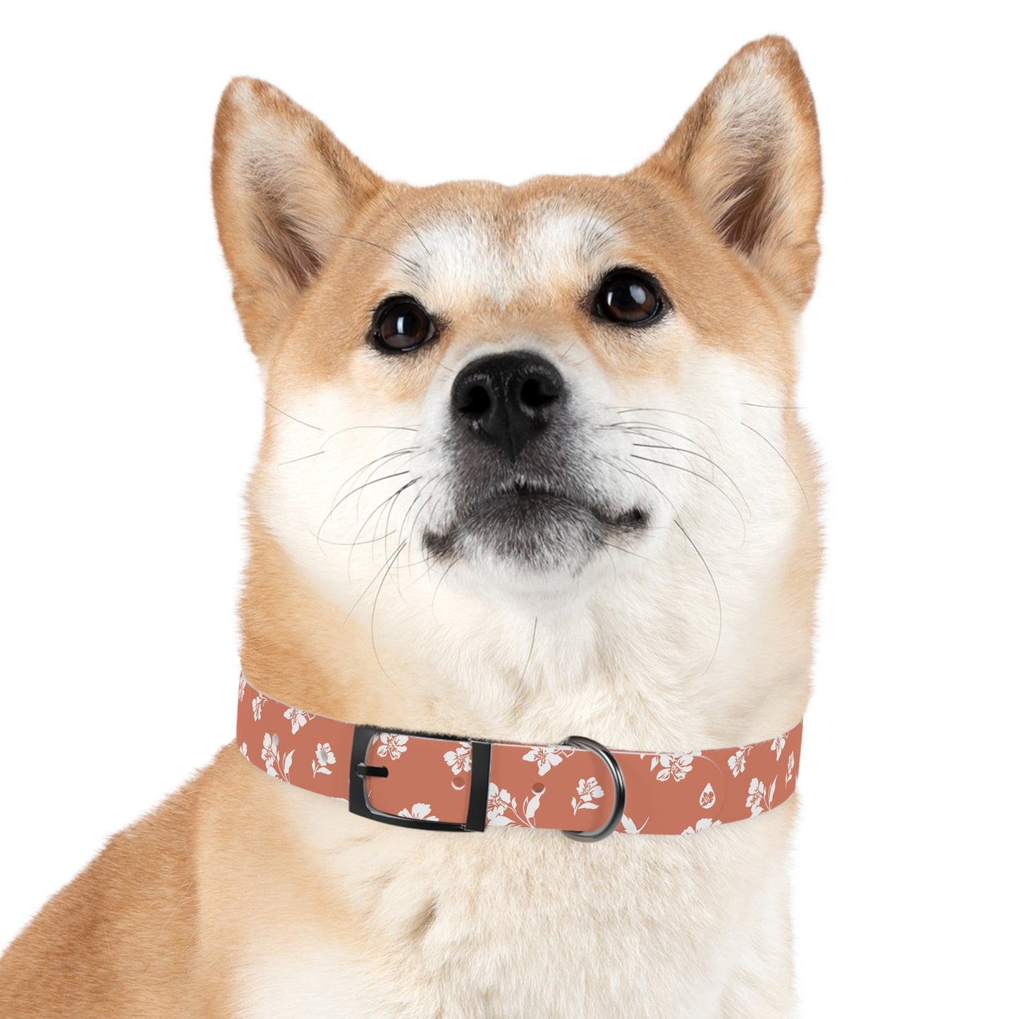 Inky Floral Dog Collar