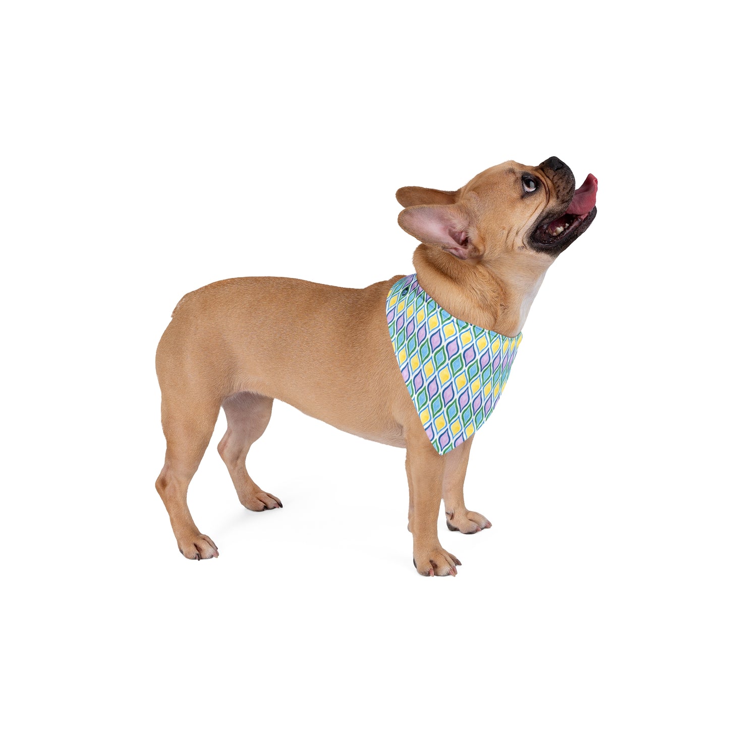 Painted Geo Pet Bandana