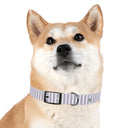 Prep Stripe Dog Collar