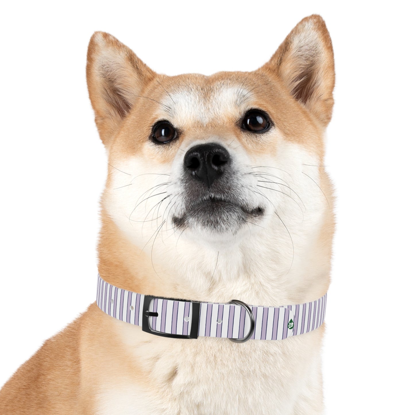Prep Stripe Dog Collar