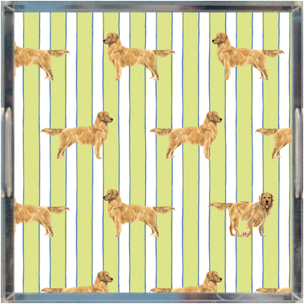 Good Dog Prep Stripe 12x12 Lucite Tray in Honeydew
