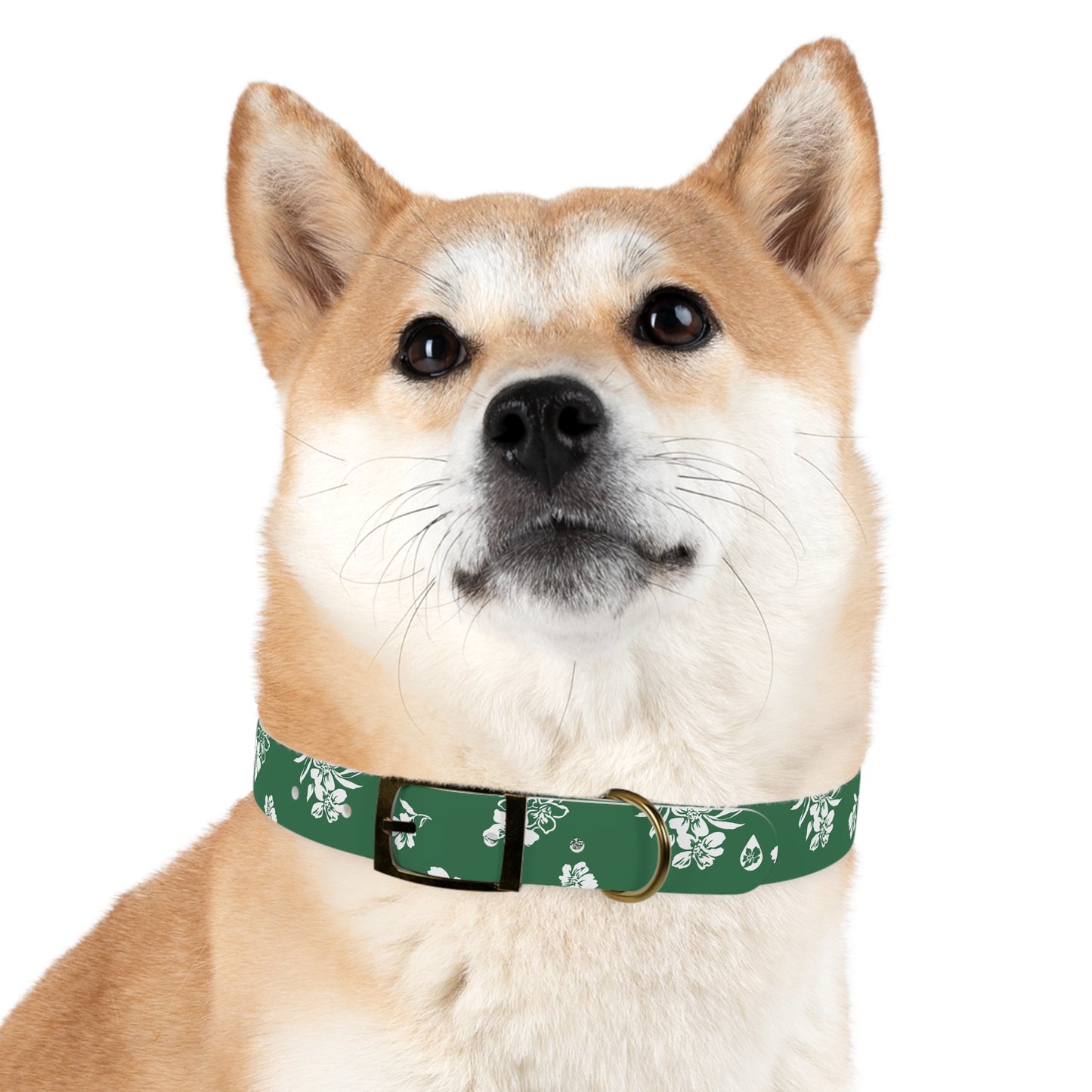 Inky Floral Dog Collar