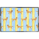 Good Dog Painted Stripe Lucite Tray