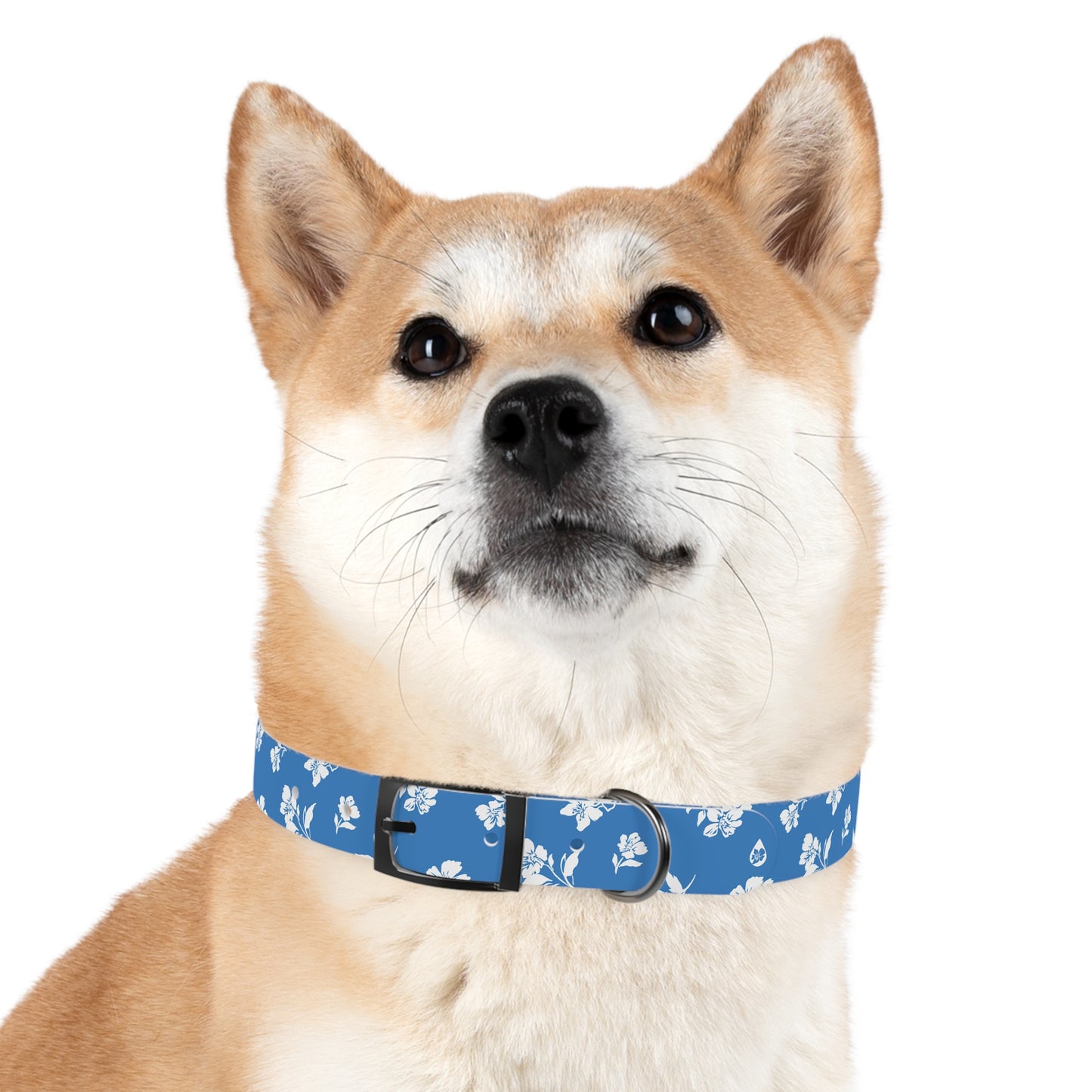Inky Floral Dog Collar