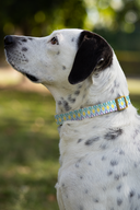 Painted Geo Dog Collar