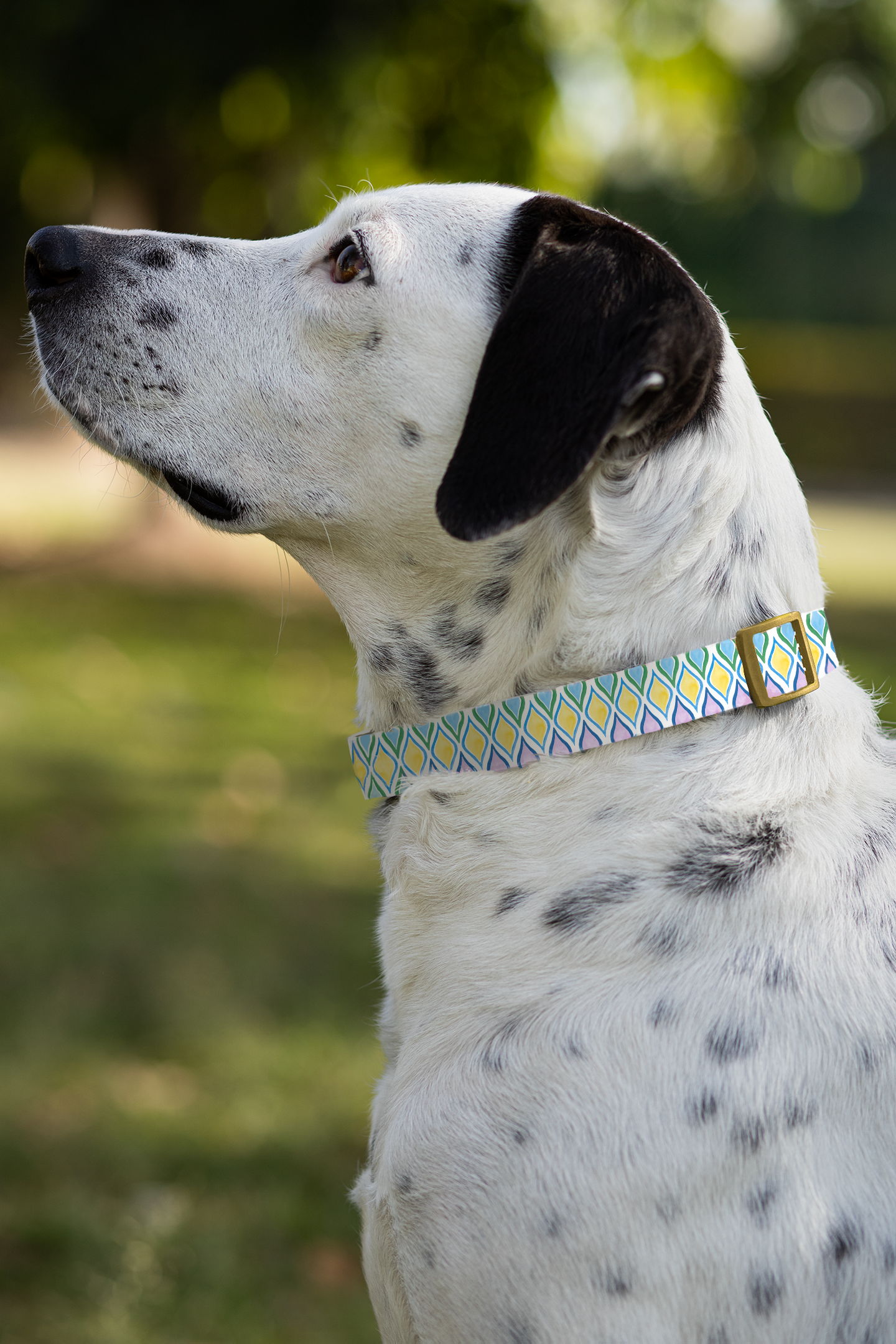 Painted Geo Dog Collar