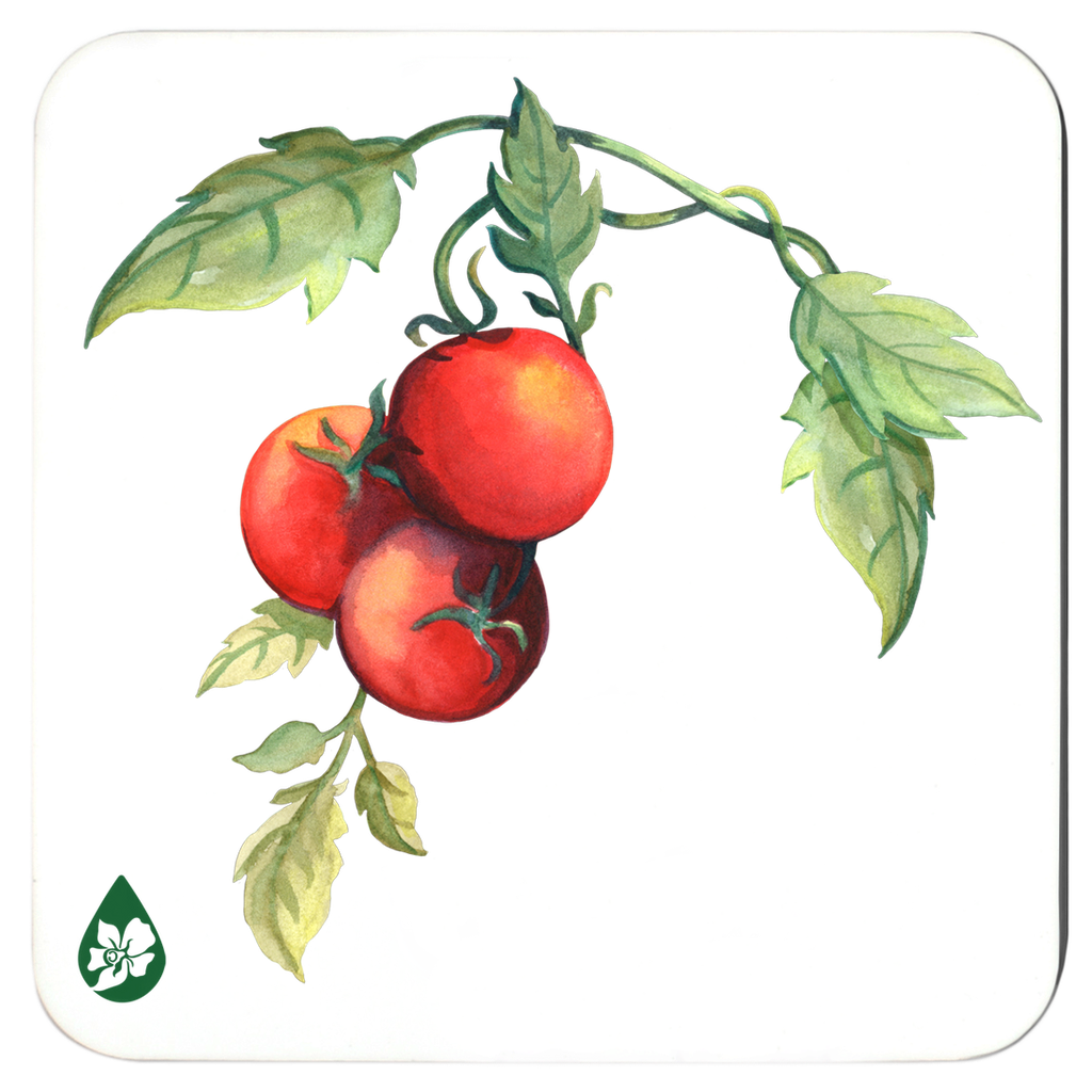 Tomato Tomato Coaster Set