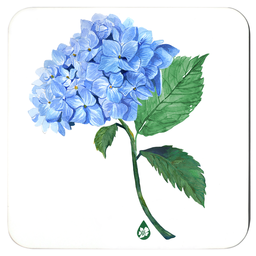 Hydrangea Coaster Set