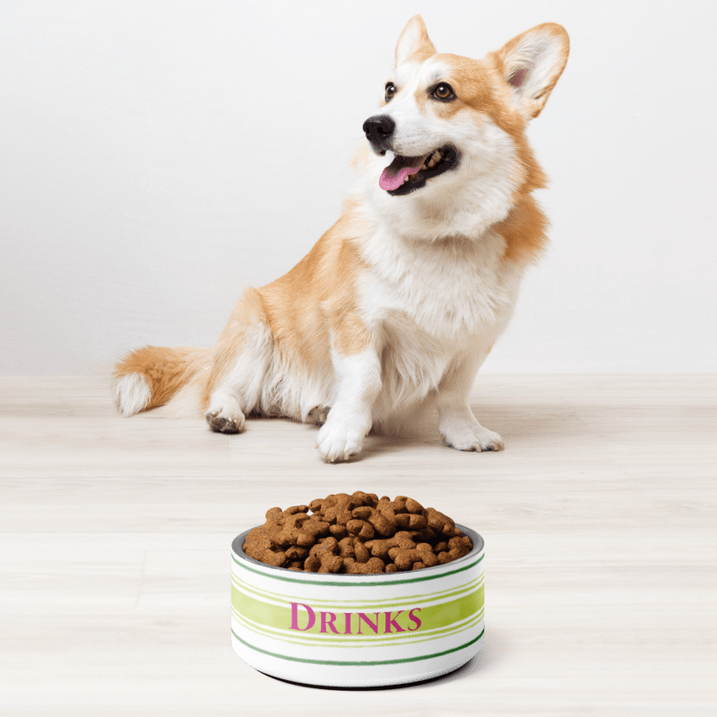 Painterly Stripe Pet Bowl