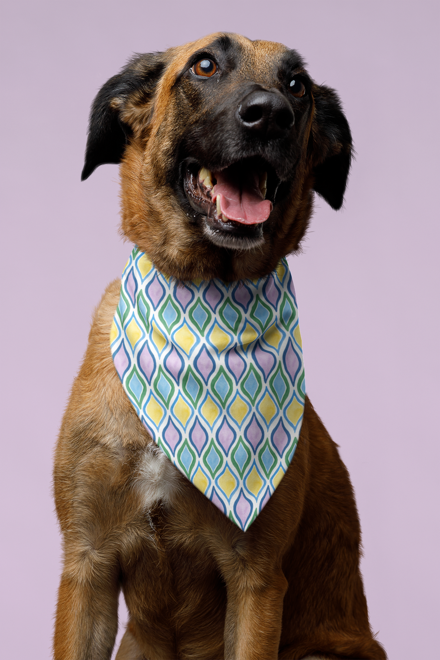 Painted Geo Pet Bandana