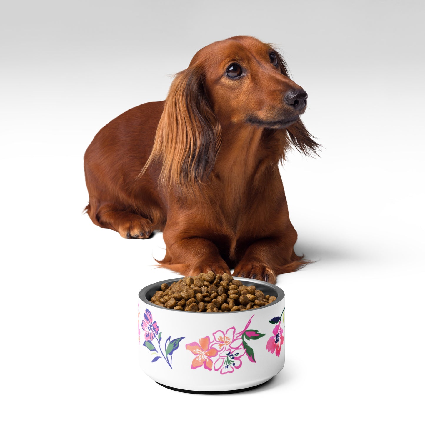 Small Dog sitting behind Inky Floral Multicolor Painted Stainless Steel Dog Bowl filled with Kibble