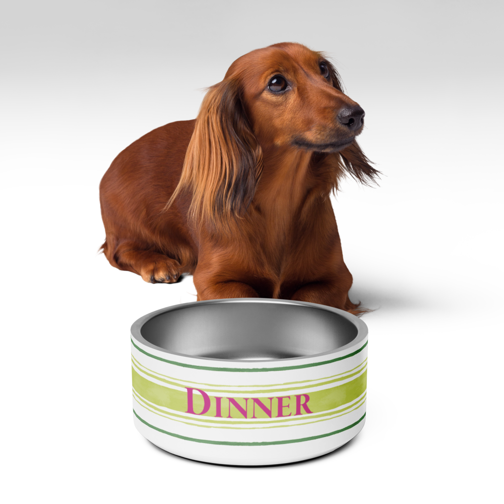Painterly Stripe Pet Bowl