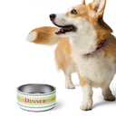 Painterly Stripe Pet Bowl