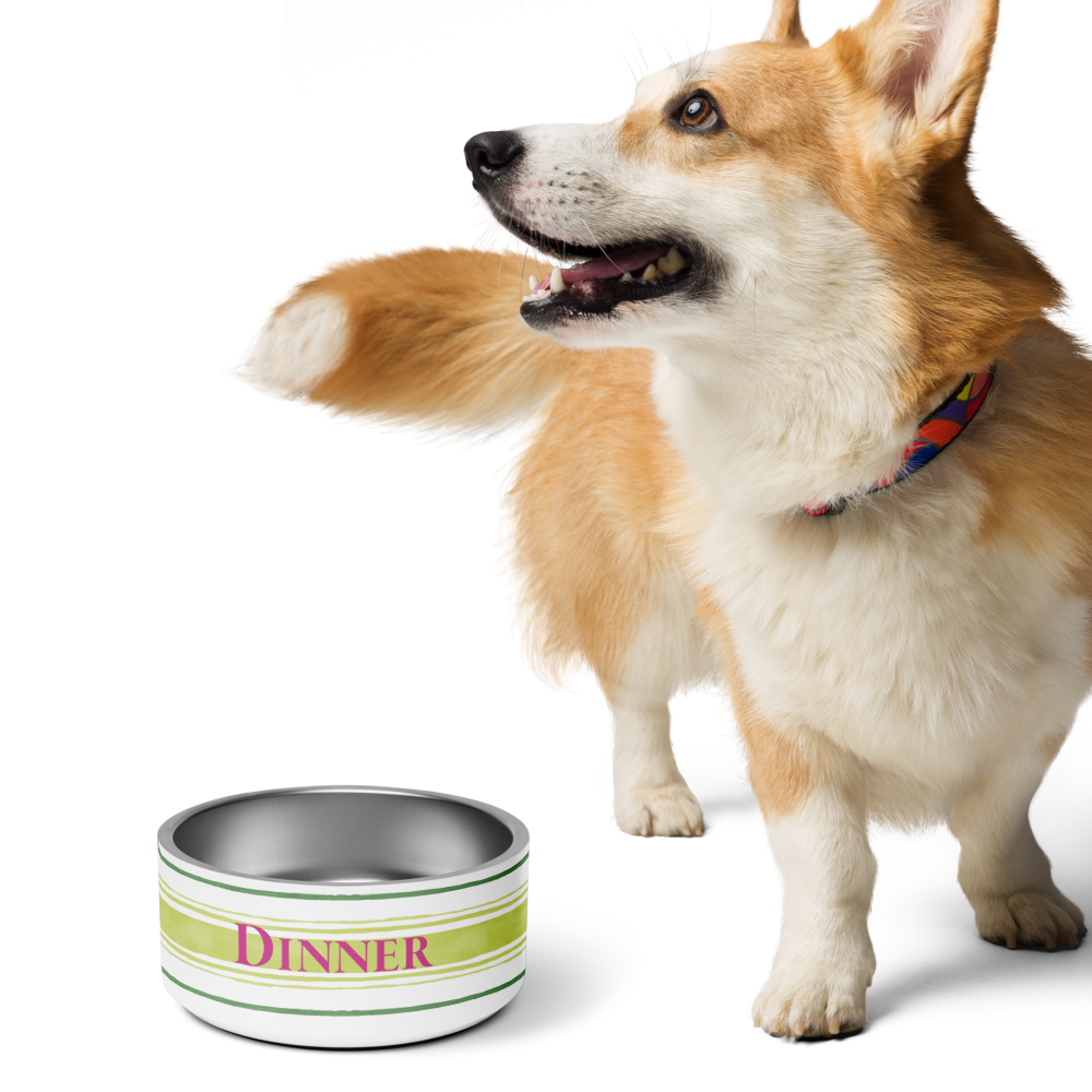Painterly Stripe Pet Bowl