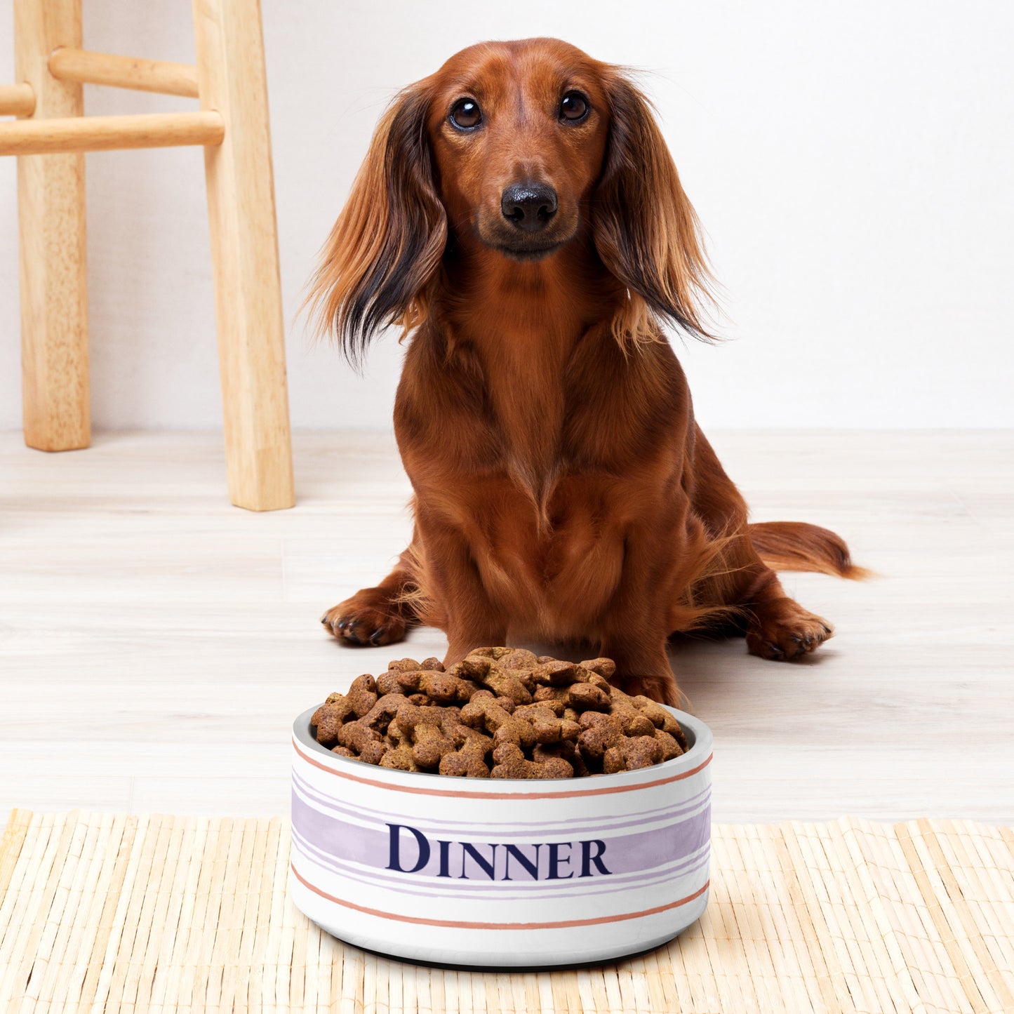 Painterly Stripe Pet Bowl