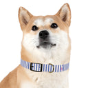 Prep Stripe Dog Collar