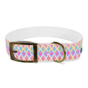 Painted Geo Dog Collar