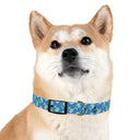 Watercolor Woodblock Dog Collar
