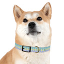 Shiba Inu Pup wearing Painterly Geo Collar in Cool colors