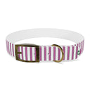 Prep Stripe Dog Collar