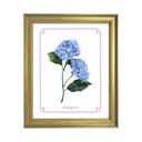 Botanical Hydrangea Study 02 8x10 in Gold Frame