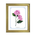Botanical Hydrangea Study 02 Pink 8x10 in Gold Frame
