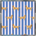 Good Dog Prep Stripe 12x12 Lucite Tray in Cloudless Blue