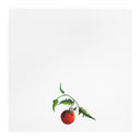 Tomato Tomato Tea Towel