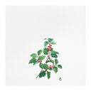 Winter Holly Tea Towel