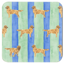Good Dog Painterly Stripe Coaster Set