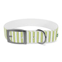 Prep Stripe Dog Collar