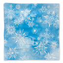 Freeze The Day Cloth Napkin