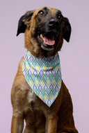 Painted Geo Pet Bandana