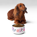 Small Dog sitting behind Inky Floral Multicolor Painted Stainless Steel Dog Bowl filled with Kibble