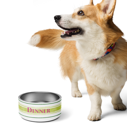 Painterly Stripe Pet Bowl